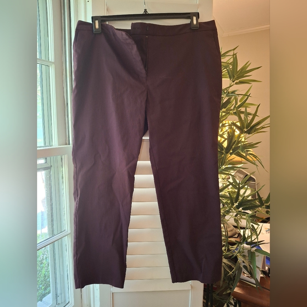 Mario Serrani Purple Chinos Structured Cotton Blend - Ankle length